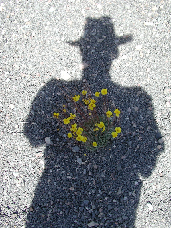 Dave's shadow