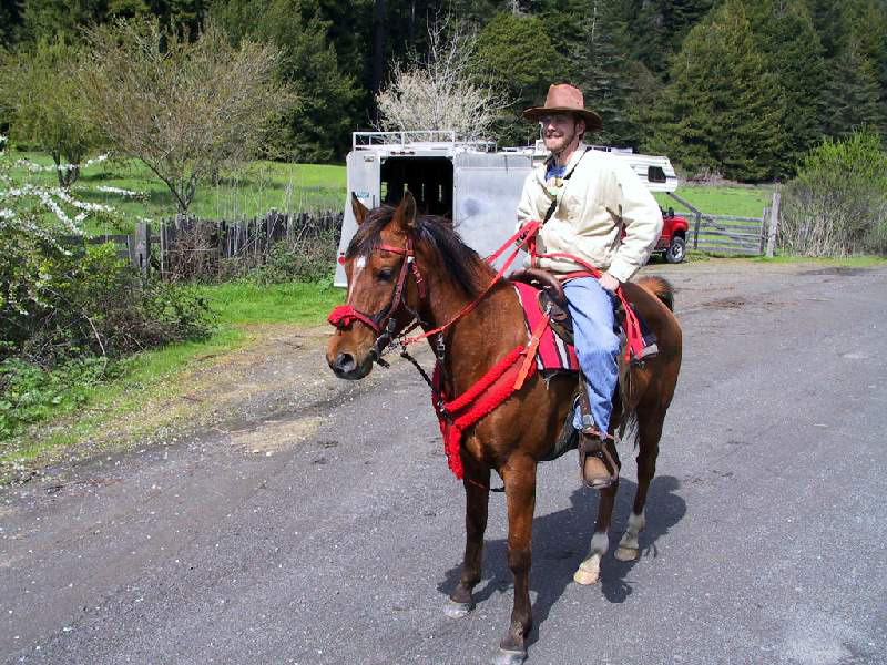 Horse-Mendocino