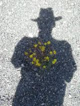 Dave's shadow