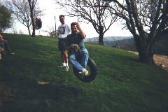 Swinging with cats