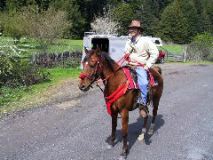 Horse-Mendocino