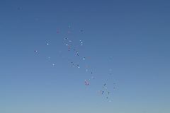 IMG_0350