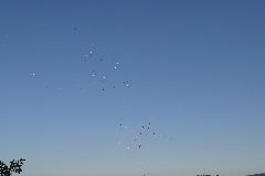 IMG_0351
