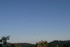 IMG_0352