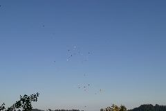 IMG_0353