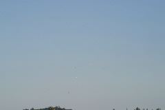 IMG_0354