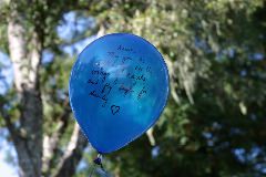 IMG_0268