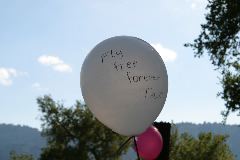 IMG_0271