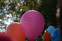 IMG_0281