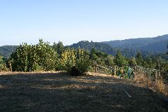 IMG_0320