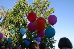 IMG_0323