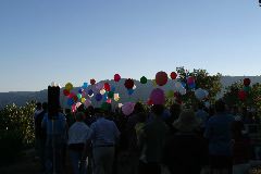 IMG_0342
